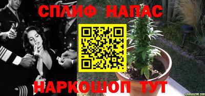 наркотики Канаш